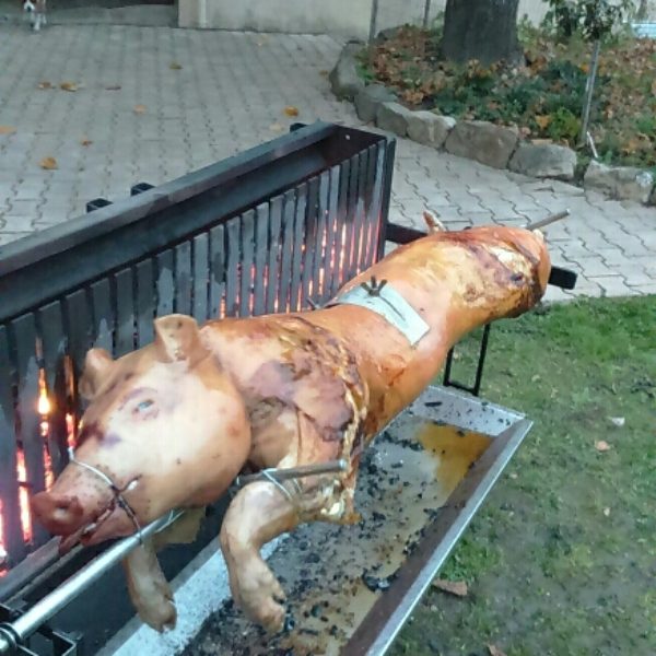 location rôtissoire cochon  loire42  montbrison saint etienne roanne location tourne broche charbon montbrison loire 42 saint etienne roanne location rôtissoire gaz montbrison broche méchoui gaz loire 42 loc méchoui gaz saint etienne méchoui feurs loire 42 boen andrezieux